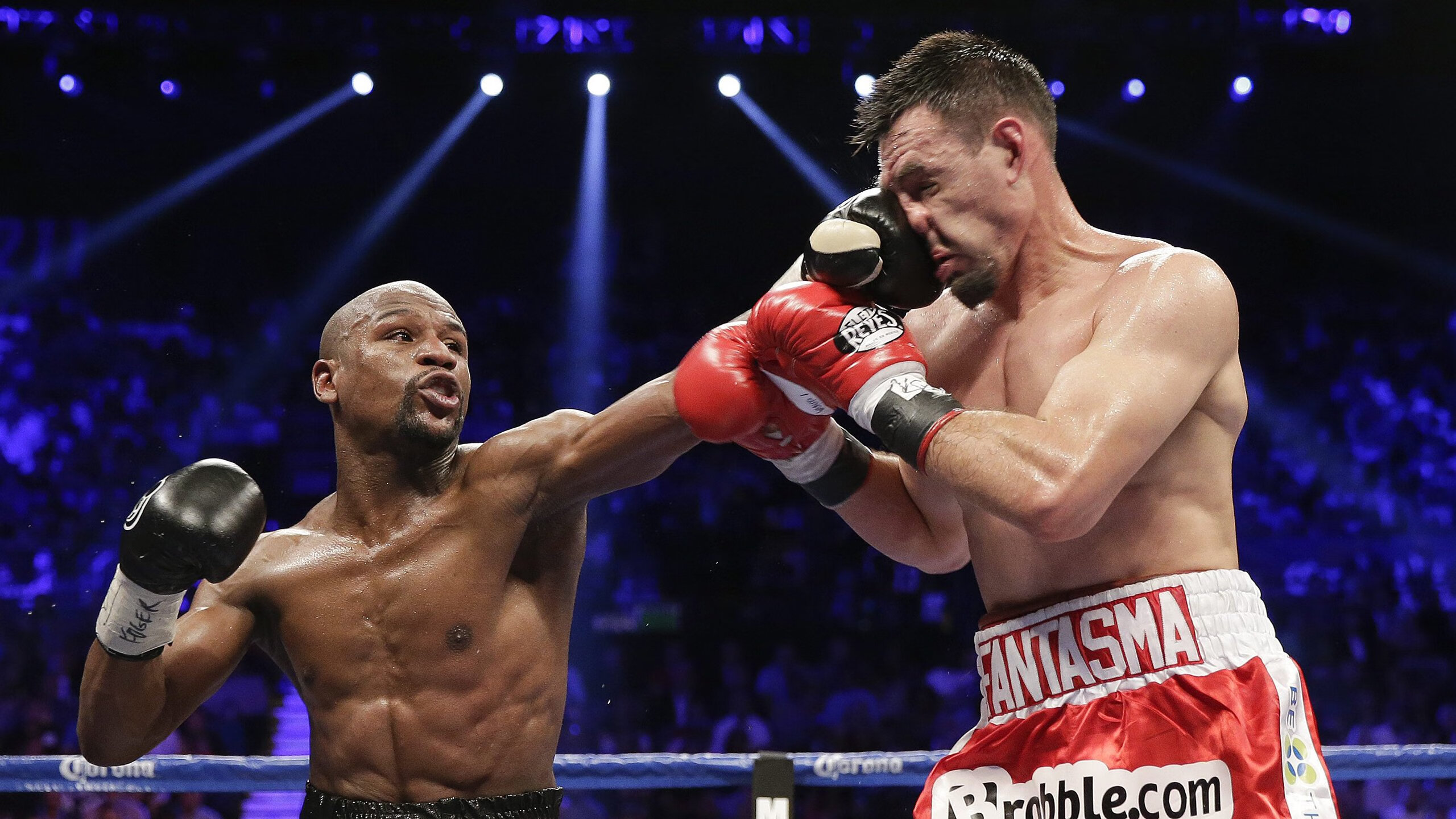 体育赛事观众增长趋势报告